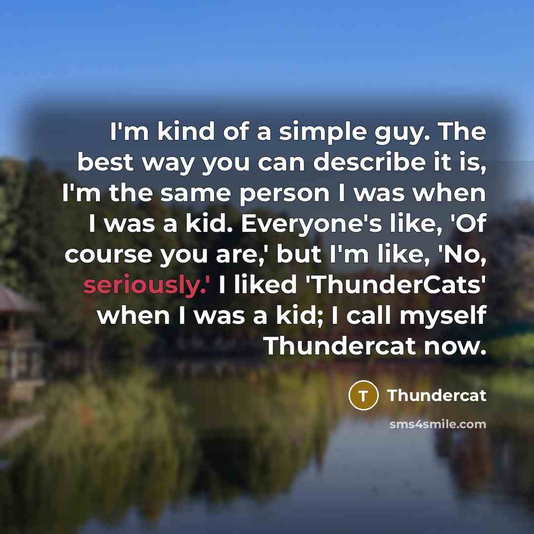 “I'm kind of a simple guy. The best way you can describe it is, I'm the same person I was when I was a kid. Everyone's like, 'Of course you are,' but I'm like, 'No, seriously.' I liked 'ThunderCats' when I was a kid; I call myself Thundercat now.” quote by Thundercat