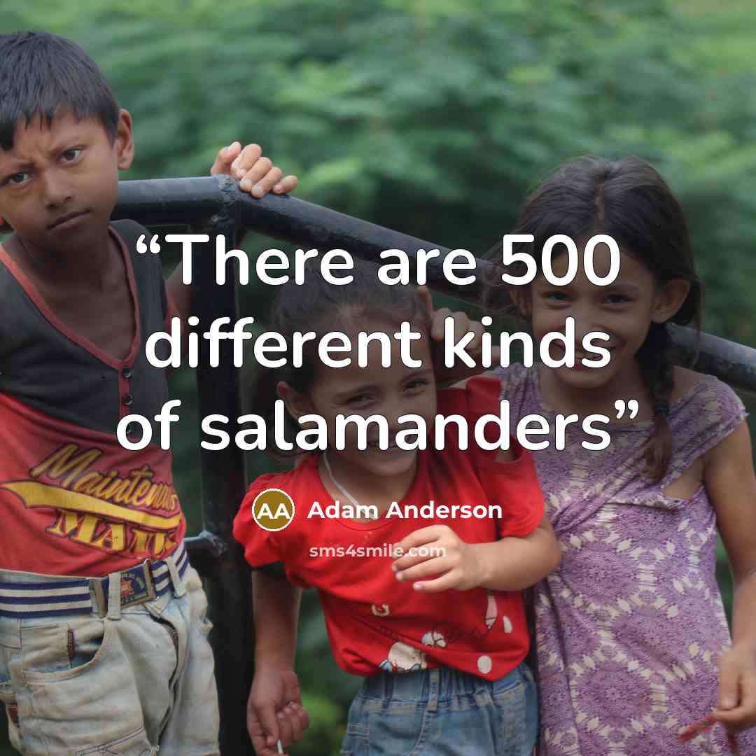 “There are 500 different kinds of salamanders” quote by Adam Anderson