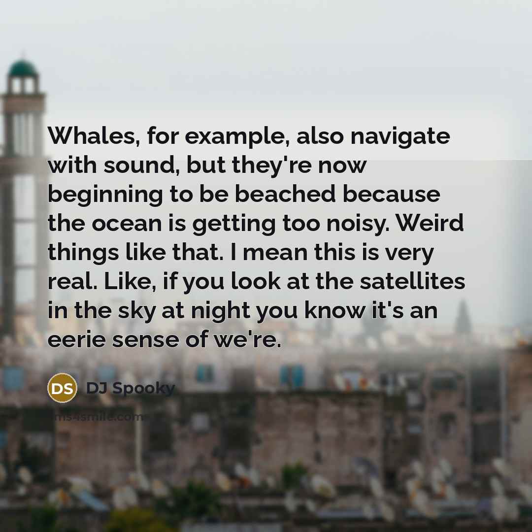 “Whales, for example, also navigate with sound, but they're now beginning to be beached because the ocean is getting too noisy. Weird things like that. I mean this is very real. Like, if you look at the satellites in the sky at night you know it's an eerie sense of we're.” quote by DJ Spooky