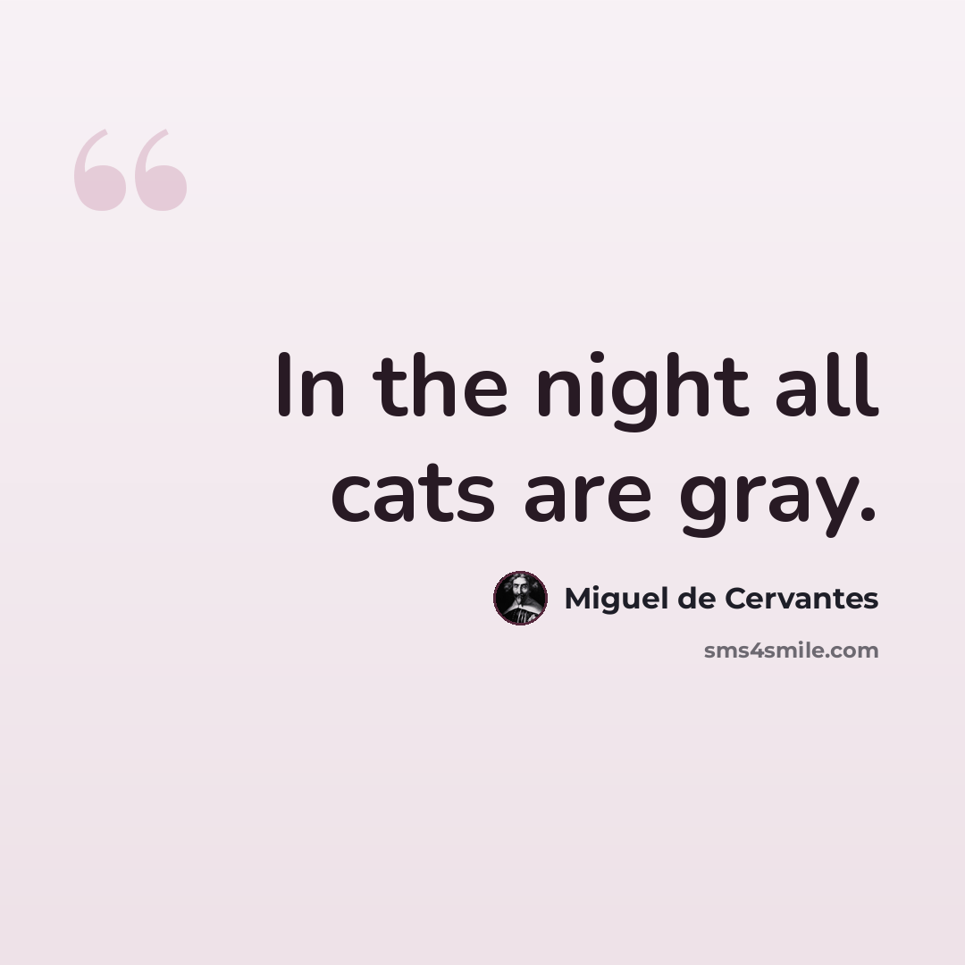 “In the night all cats are gray.” quote by Miguel de Cervantes