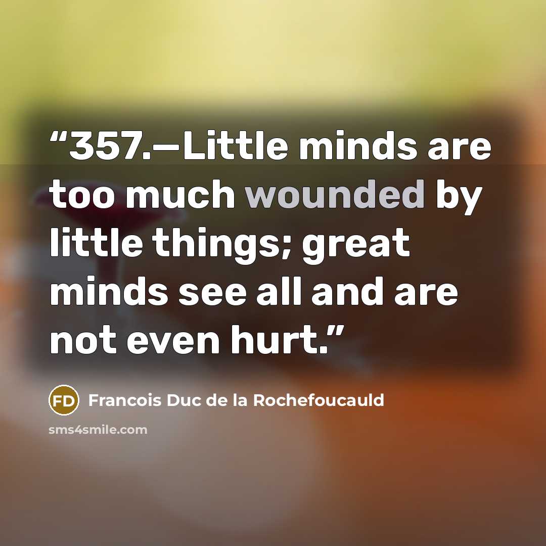 “357.—Little minds are too much wounded by little things; great minds see all and are not even hurt.” quote by Francois Duc de La Rochefoucauld