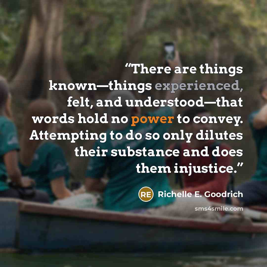 “There are things known—things experienced, felt, and understood—that words hold no power to convey. Attempting to do so only dilutes their substance and does them injustice.” quote by Richelle E. Goodrich