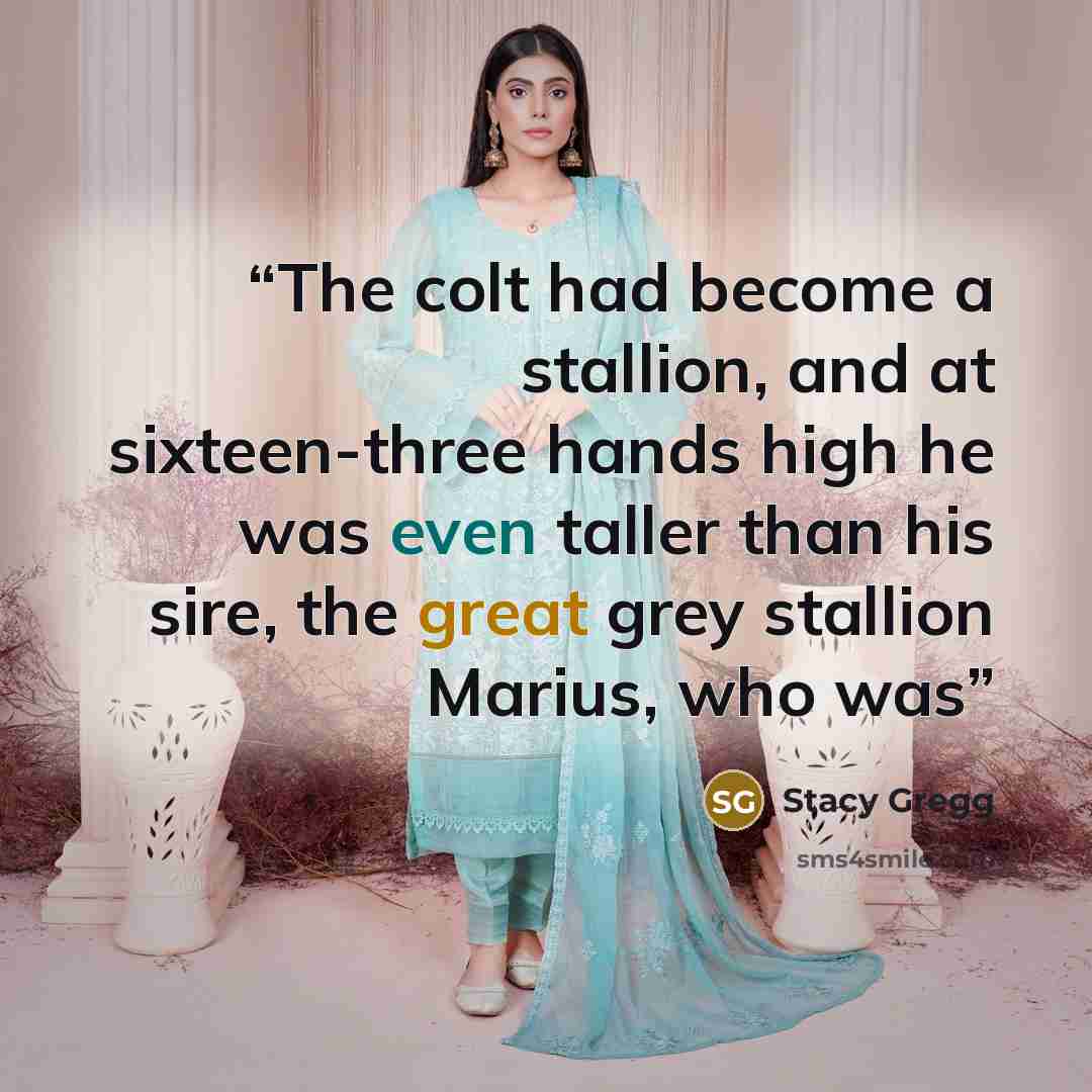 “The colt had become a stallion, and at sixteen-three hands high he was even taller than his sire, the great grey stallion Marius, who was” quote by Stacy Gregg