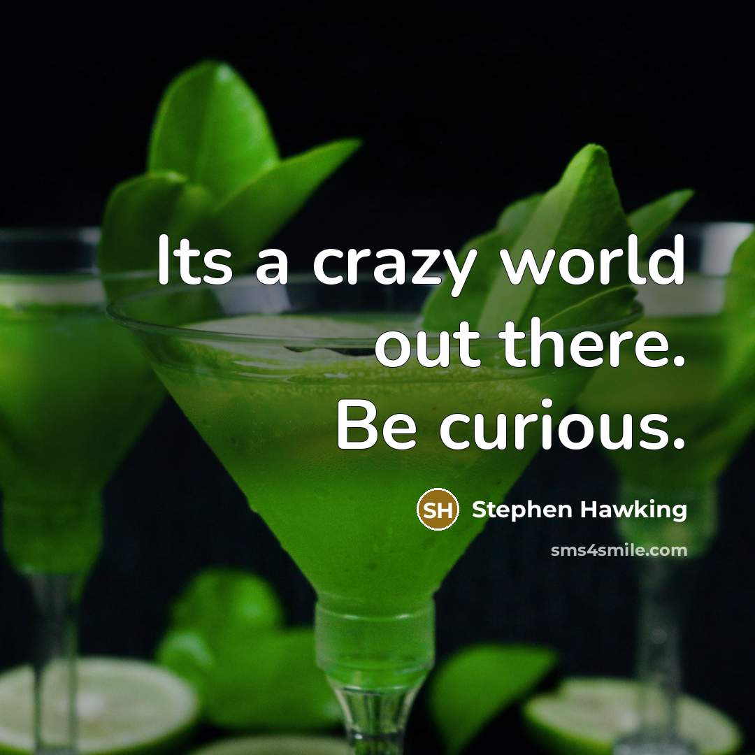 “Its a crazy world out there. Be curious.” quote by Stephen Hawking