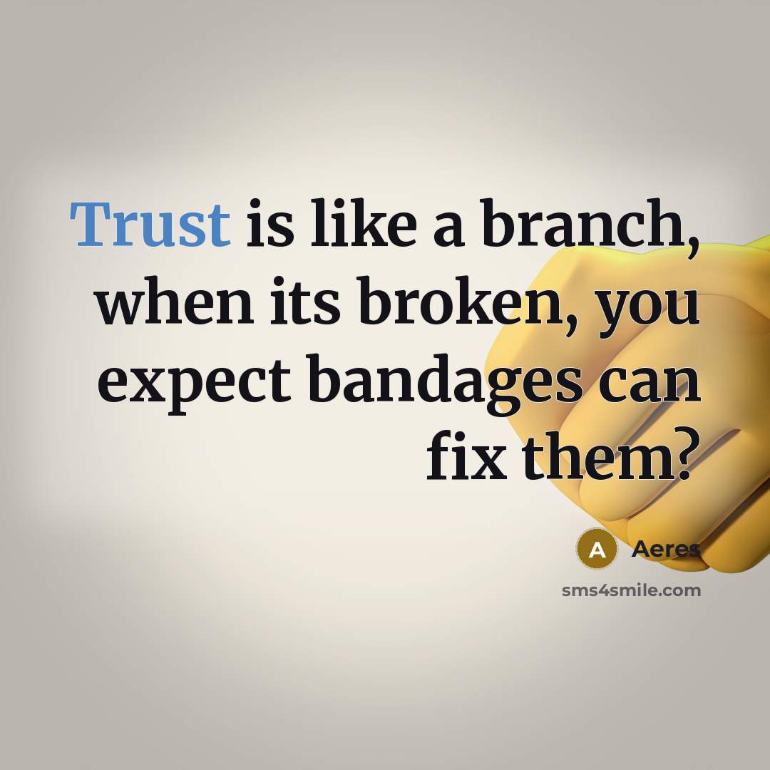 “Trust is like a branch, when its broken, you expect bandages can fix them?” quote by Aeres