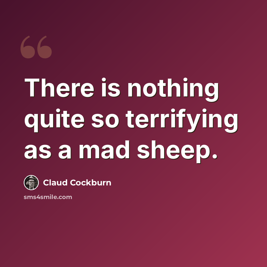 “There is nothing quite so terrifying as a mad sheep.” quote by Claud Cockburn