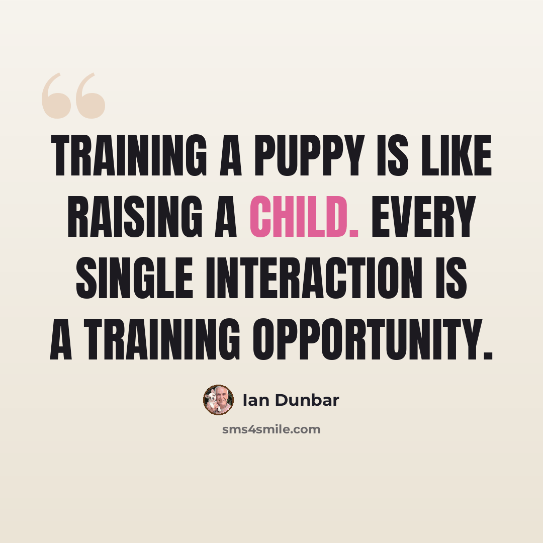 “Training a puppy is like raising a child. Every single interaction is a training opportunity.” quote by Ian Dunbar
