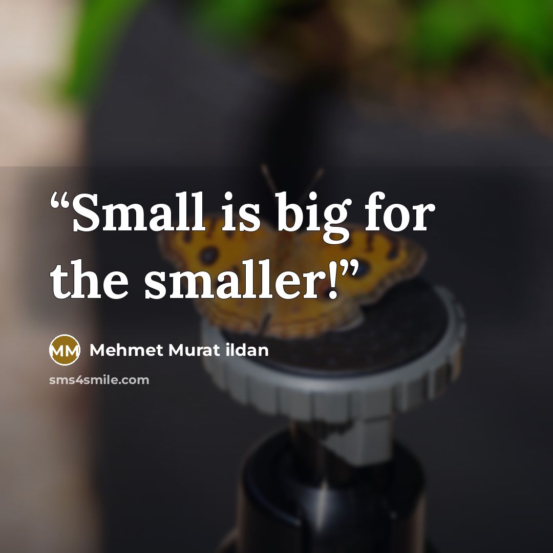 “Small is big for the smaller!” quote by Mehmet Murat ildan