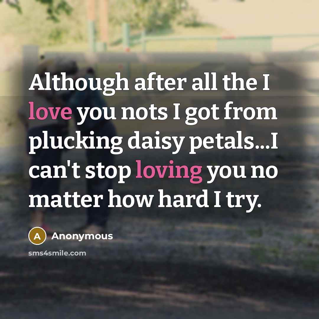 “Although after all the I love you nots I got from plucking daisy petals...I can't stop loving you no matter how hard I try.” quote by Anonymous