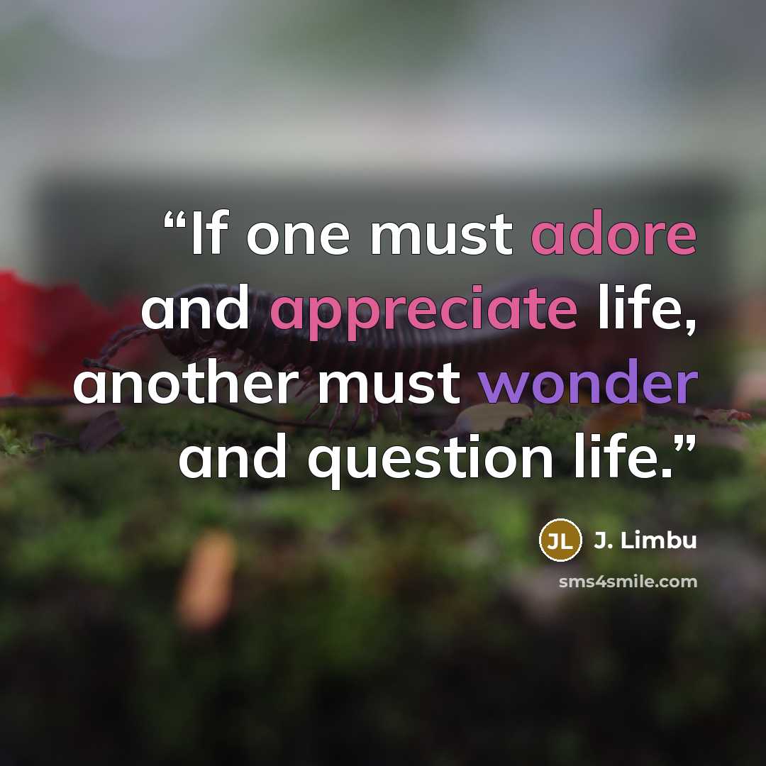 “If one must adore and appreciate life, another must wonder and question life.” quote by J. Limbu