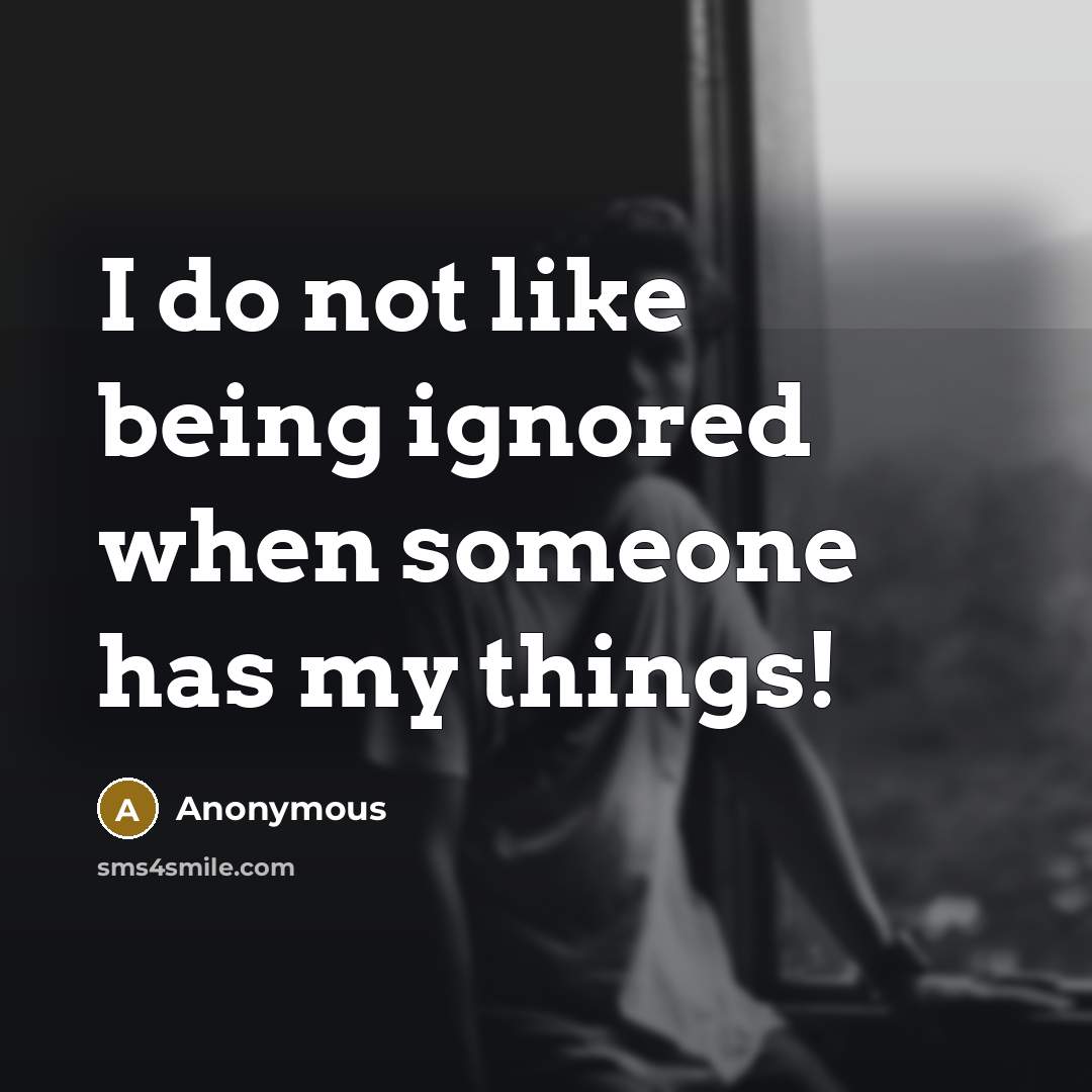 “I do not like being ignored when someone has my things!” quote by Anonymous