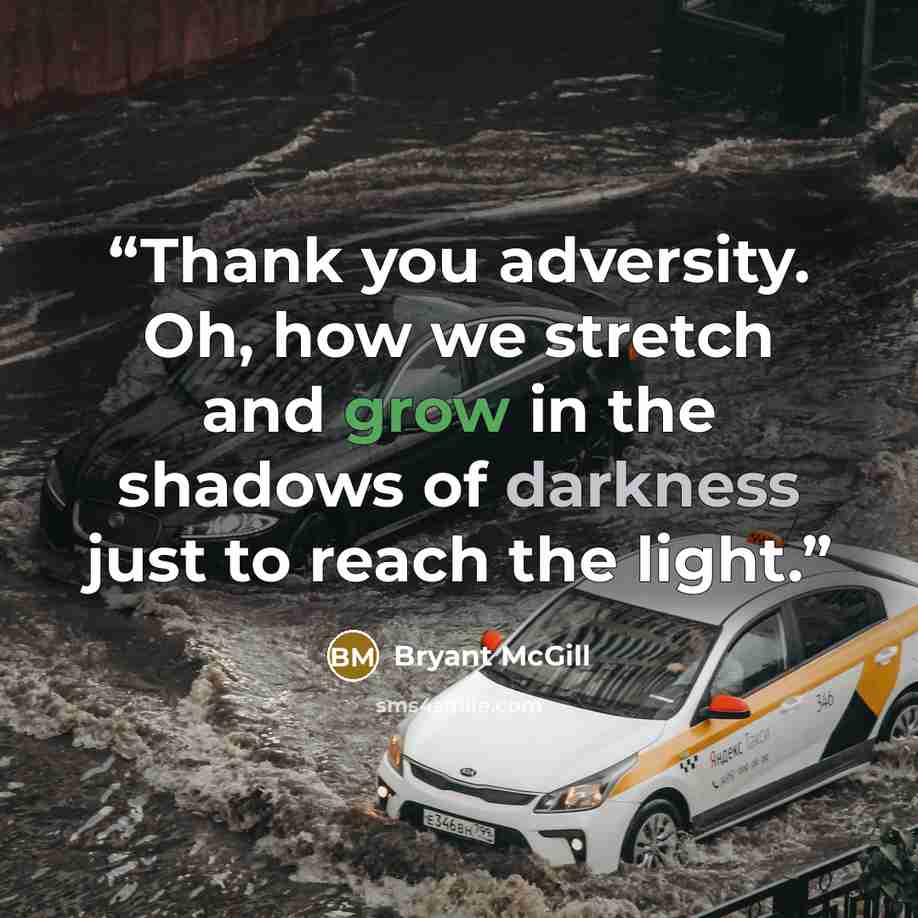 “Thank you adversity. Oh, how we stretch and grow in the shadows of darkness just to reach the light.” quote by Bryant McGill