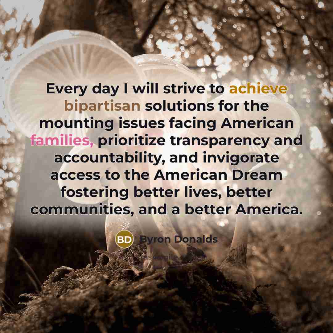 “Every day I will strive to achieve bipartisan solutions for the mounting issues facing American families, prioritize transparency and accountability, and invigorate access to the American Dream fostering better lives, better communities, and a better America.” quote by Byron Donalds