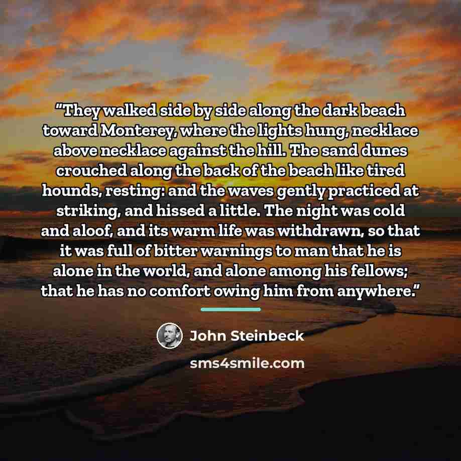 “They walked side by side along the dark beach toward Monterey, where the lights hung, necklace above necklace against the hill. The sand dunes crouched along the back of the beach like tired hounds, resting: and the waves gently practiced at striking, and hissed a little. The night was cold and…” quote by John Steinbeck