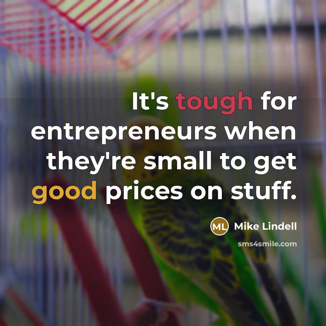 “It's tough for entrepreneurs when they're small to get good prices on stuff.” quote by Mike Lindell