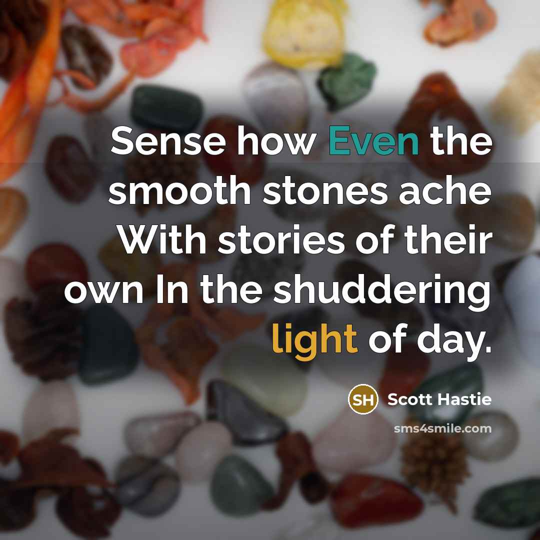 “Sense how Even the smooth stones ache With stories of their own In the shuddering light of day.” quote by Scott Hastie