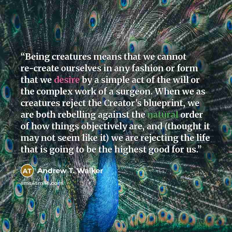 “Being creatures means that we cannot re-create ourselves in any fashion or form that we desire by a simple act of the will or the complex work of a surgeon. When we as creatures reject the Creator's blueprint, we are both rebelling against the natural order of how things objectively are, and…” quote by Andrew T. Walker