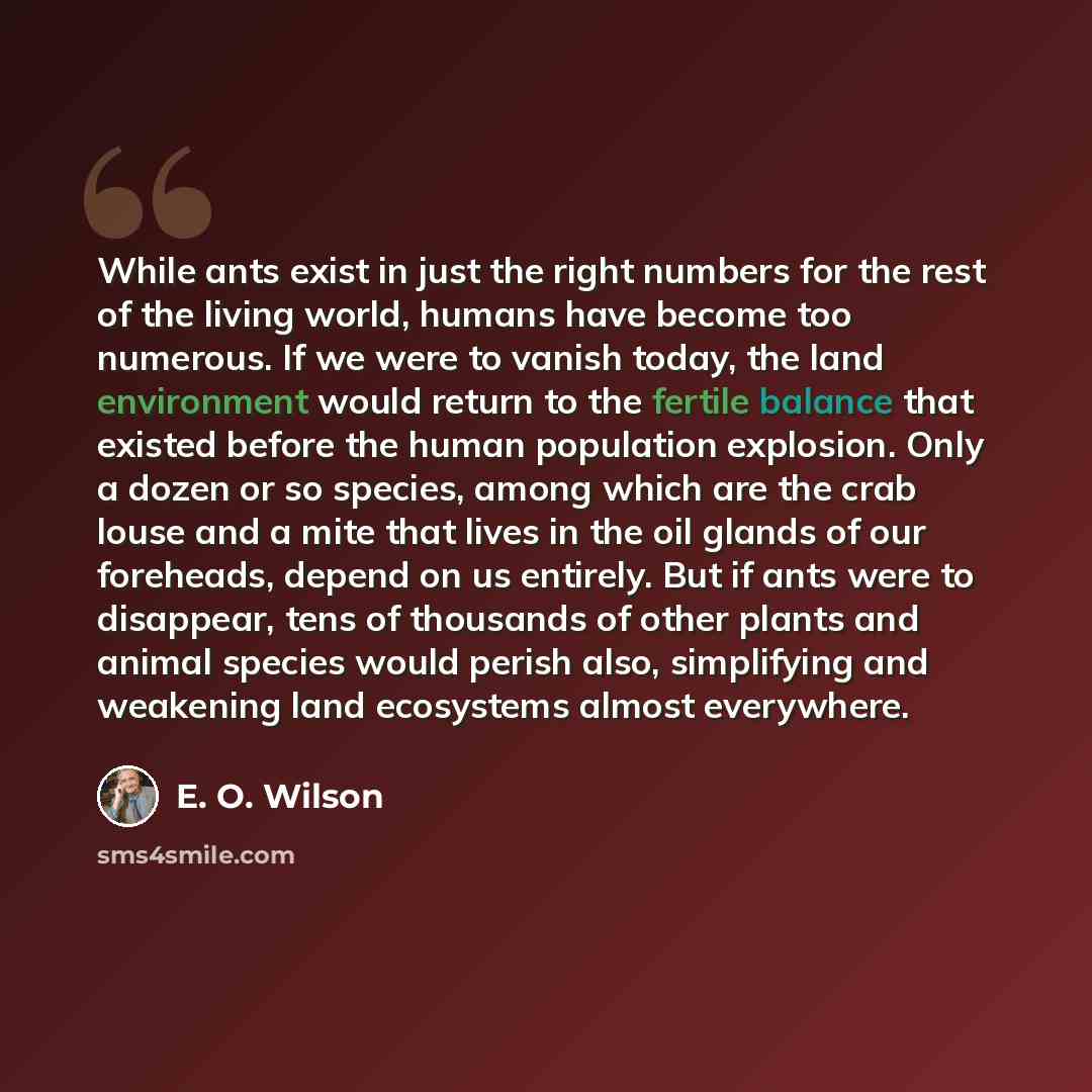“While ants exist in just the right numbers for the rest of the living world, humans have become too numerous. If we were to vanish today, the land environment would return to the fertile balance that existed before the human population explosion. Only a dozen or so species, among which are the…” quote by E. O. Wilson