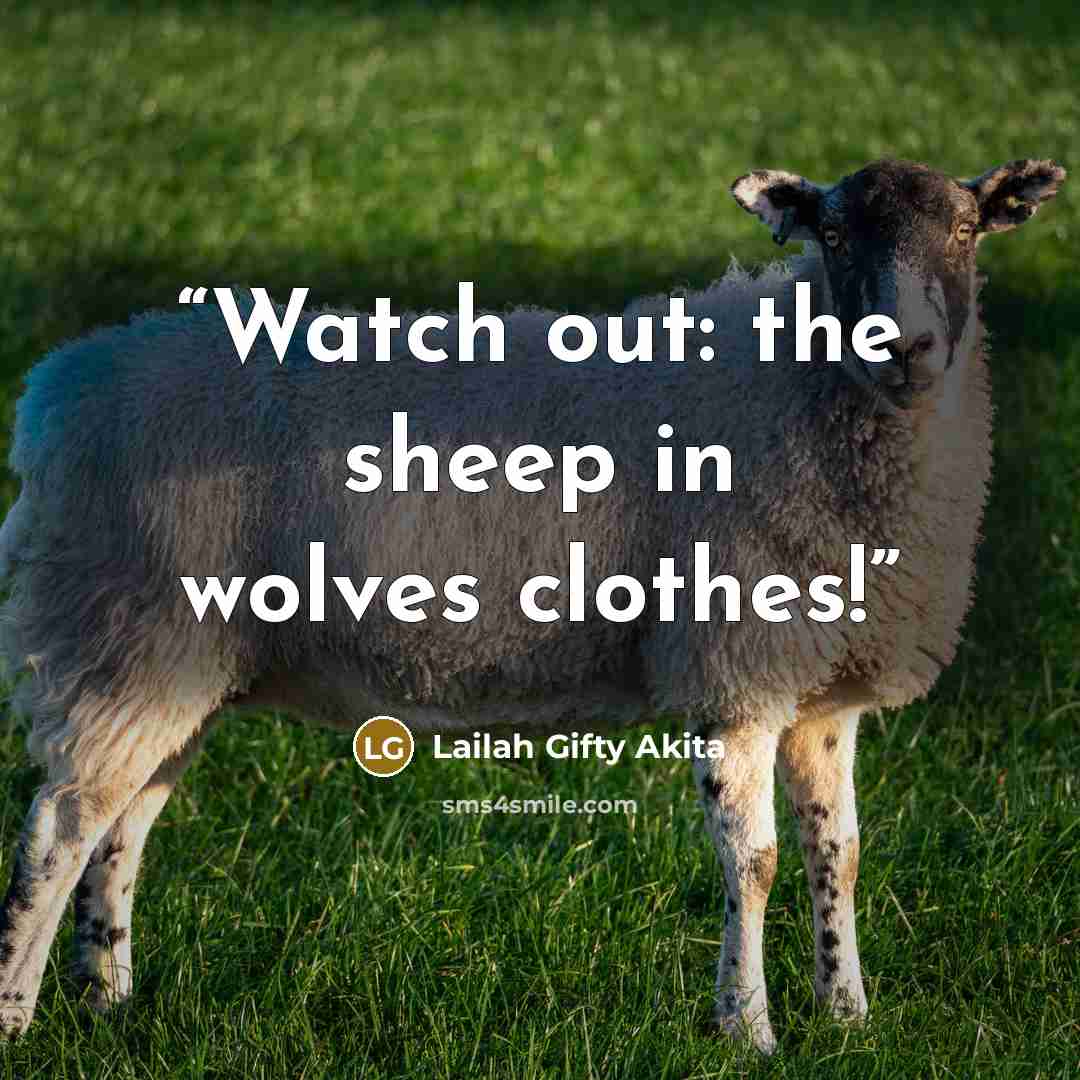 “Watch out: the sheep in wolves clothes!” quote by Lailah Gifty Akita