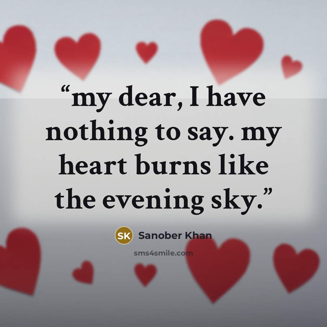 “my dear, I have nothing to say. my heart burns like the evening sky.” quote by Sanober Khan