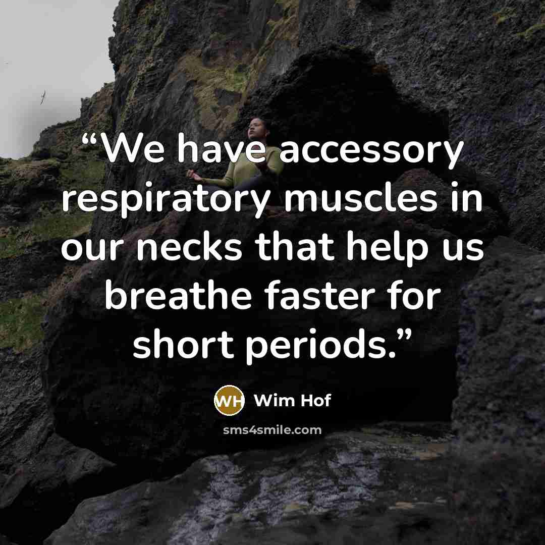 “We have accessory respiratory muscles in our necks that help us breathe faster for short periods.” quote by Wim Hof