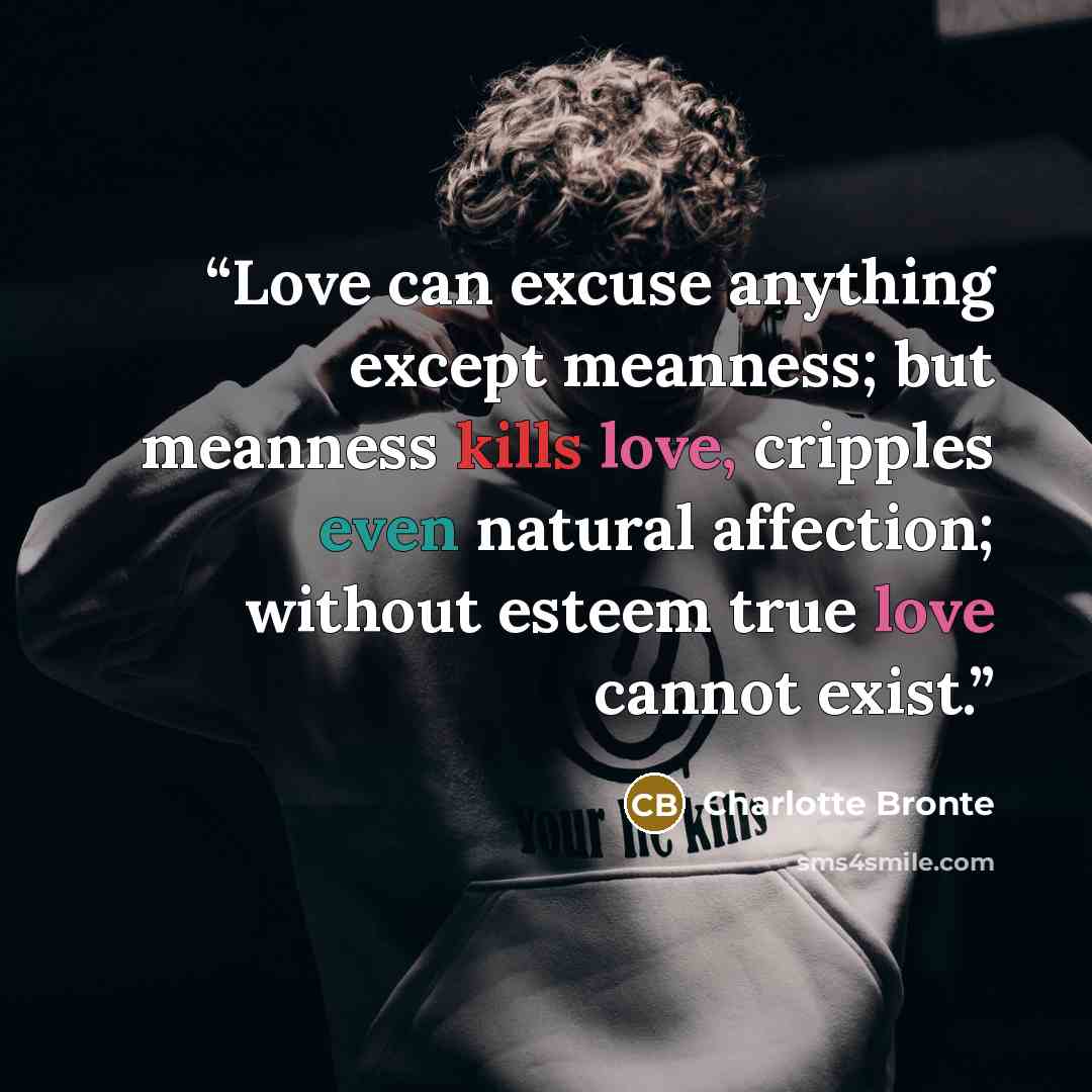 “Love can excuse anything except meanness; but meanness kills love, cripples even natural affection; without esteem true love cannot exist.” quote by Charlotte Brontë