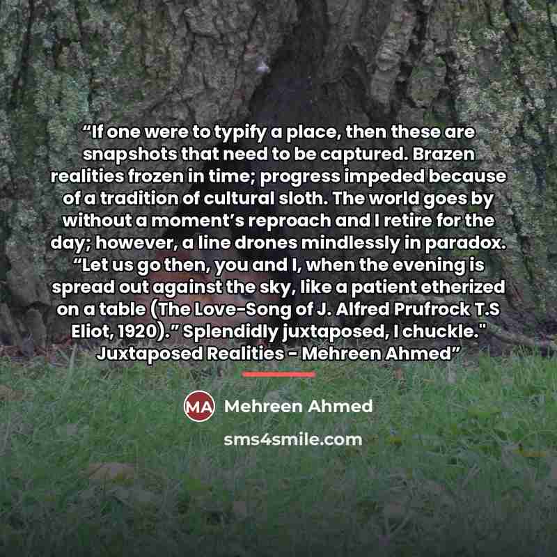 “If one were to typify a place, then these are snapshots that need to be captured. Brazen realities frozen in time; progress impeded because of a tradition of cultural sloth. The world goes by without a moment’s reproach and I retire for the day; however, a line drones mindlessly in paradox. “Let…” quote by Mehreen Ahmed