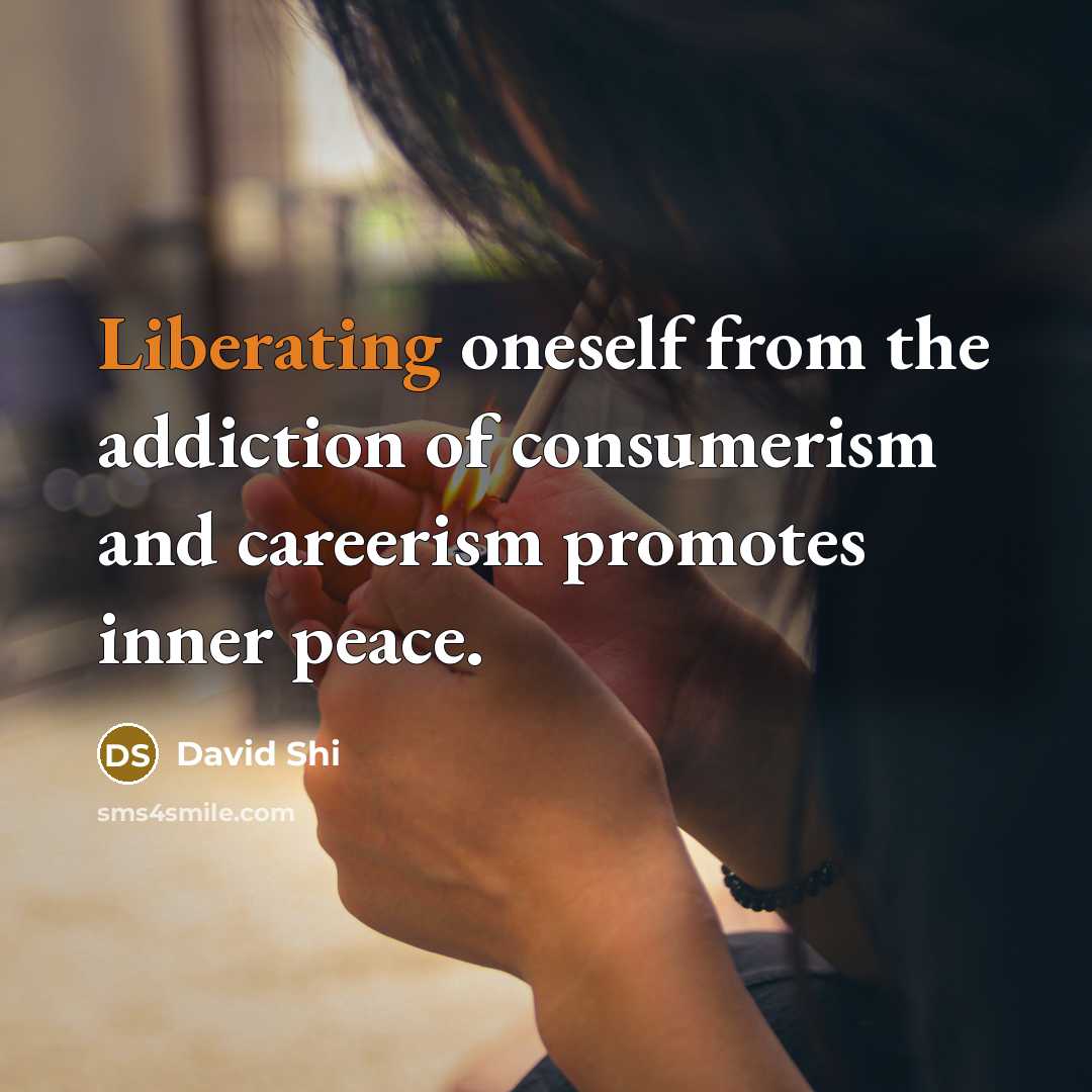 “Liberating oneself from the addiction of consumerism and careerism promotes inner peace.” quote by David Shi