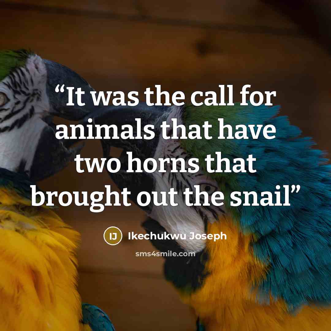 “It was the call for animals that have two horns that brought out the snail” quote by Ikechukwu Joseph