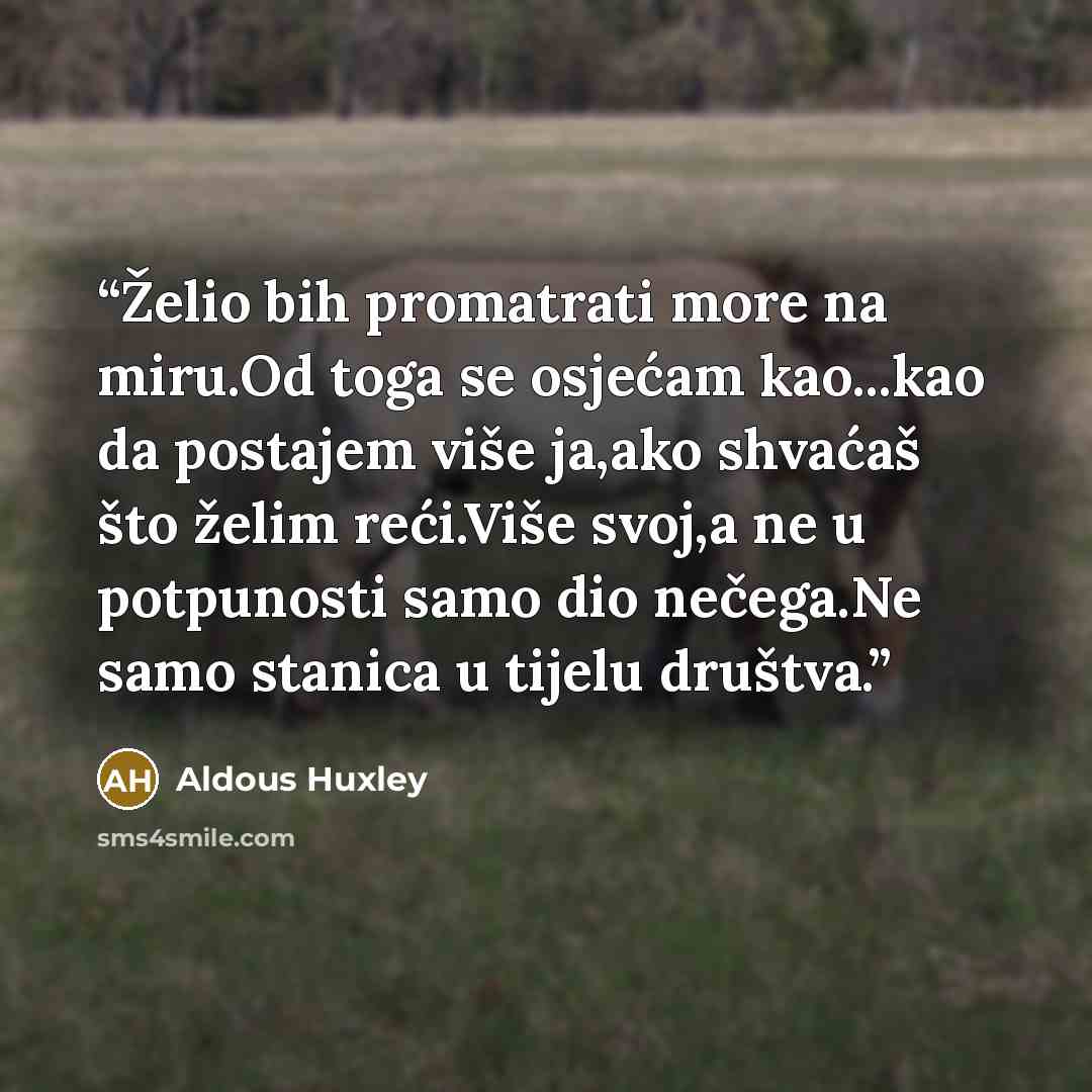 “Želio bih promatrati more na miru.Od toga se osjećam kao...kao da postajem više ja,ako shvaćaš što želim reći.Više svoj,a ne u potpunosti samo dio nečega.Ne samo stanica u tijelu društva.” quote by Aldous Huxley
