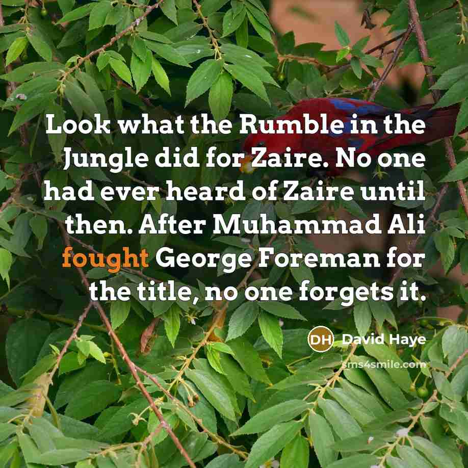“Look what the Rumble in the Jungle did for Zaire. No one had ever heard of Zaire until then. After Muhammad Ali fought George Foreman for the title, no one forgets it.” quote by David Haye
