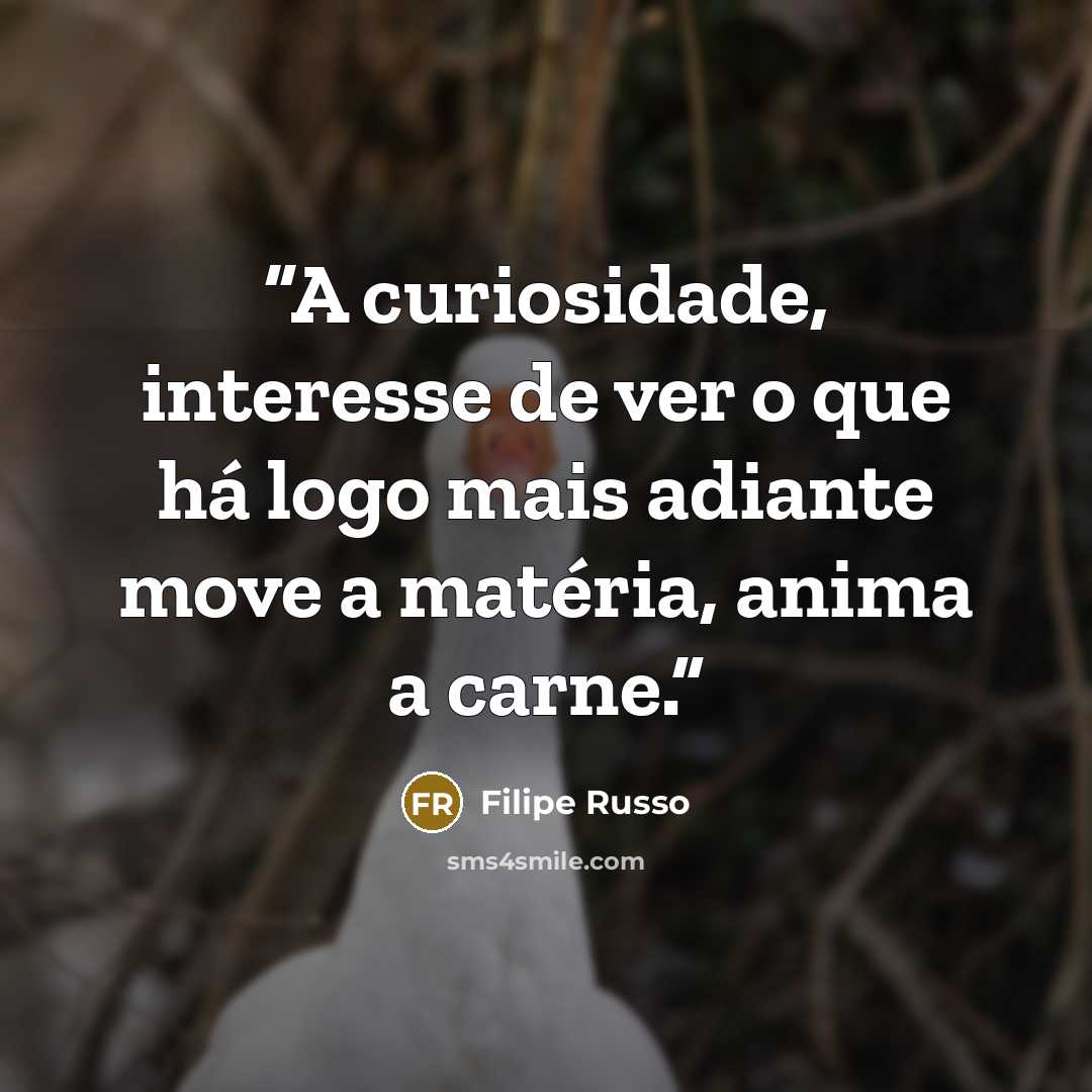 “A curiosidade, interesse de ver o que há logo mais adiante move a matéria, anima a carne.” quote by Filipe Russo