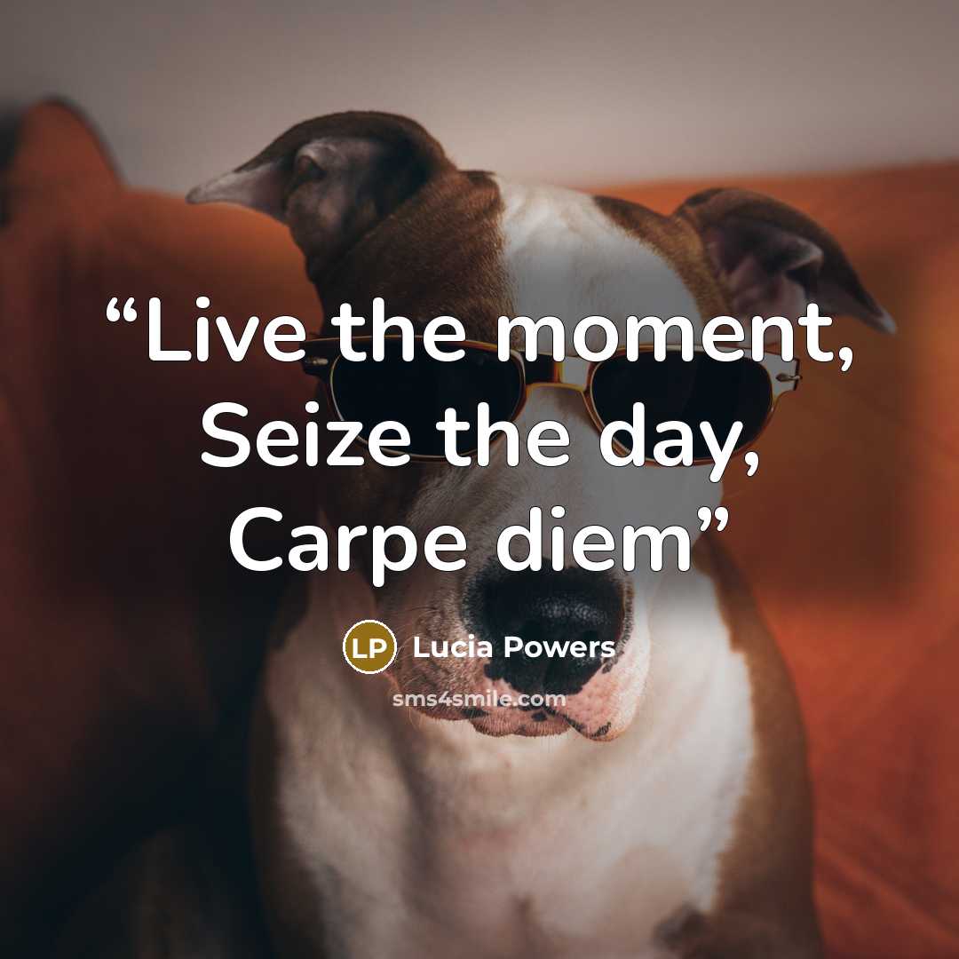 “Live the moment, Seize the day, Carpe diem” quote by Lucia Powers
