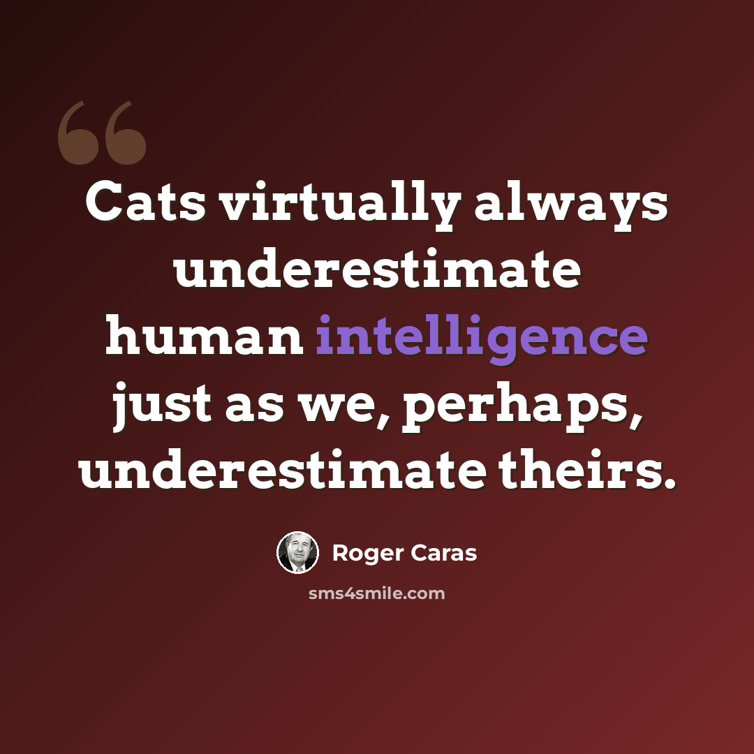 “Cats virtually always underestimate human intelligence just as we, perhaps, underestimate theirs.” quote by Roger Caras
