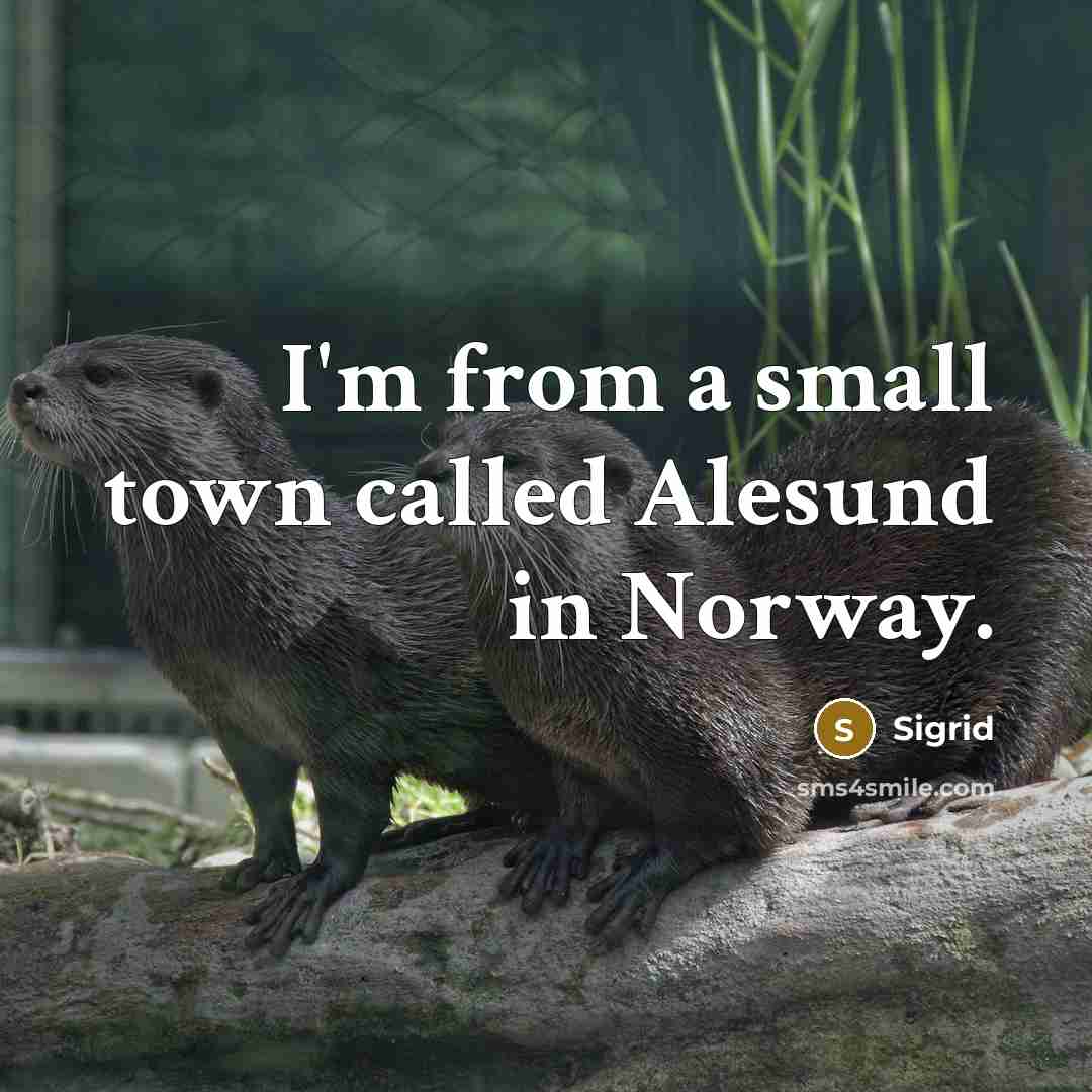 “I'm from a small town called Alesund in Norway.” quote by Sigrid