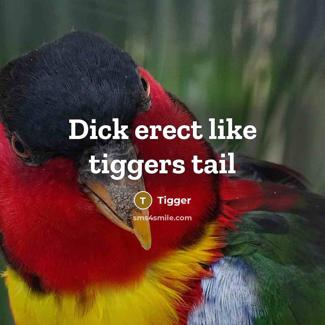 “Dick erect like tiggers tail” quote by Tigger