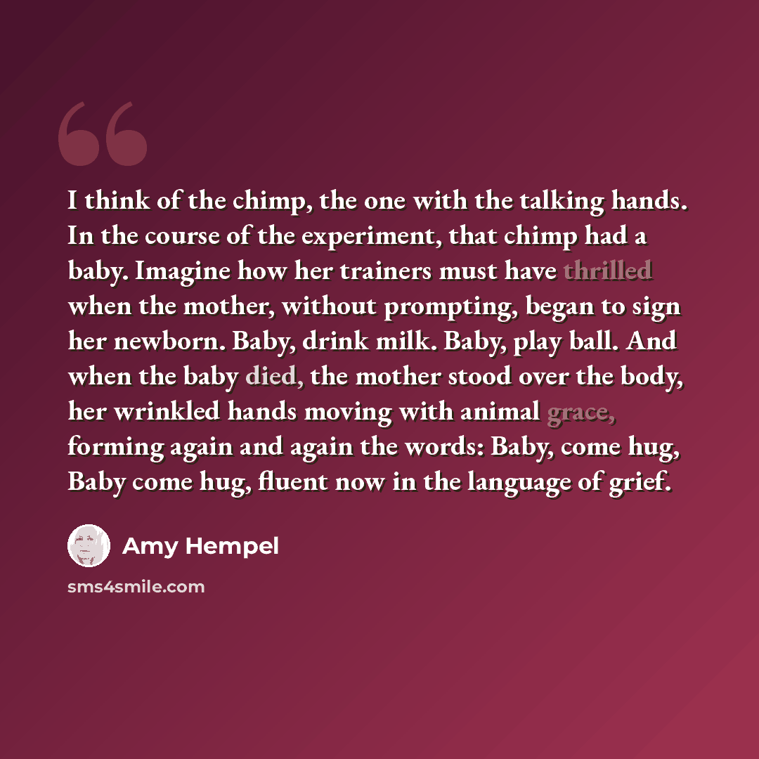 “I think of the chimp, the one with the talking hands. In the course of the experiment, that chimp had a baby. Imagine how her trainers must have thrilled when the mother, without prompting, began to sign her newborn. Baby, drink milk. Baby, play ball. And when the baby died, the mother stood over…” quote by Amy Hempel