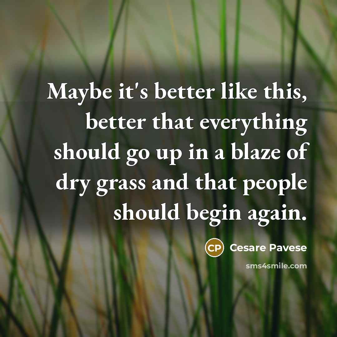 “Maybe it's better like this, better that everything should go up in a blaze of dry grass and that people should begin again.” quote by Cesare Pavese