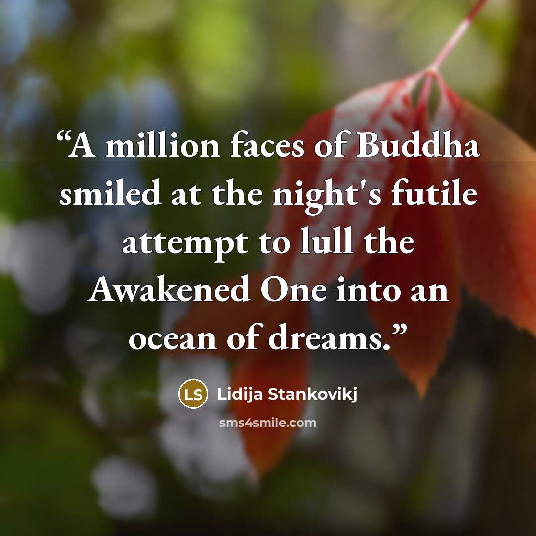 “A million faces of Buddha smiled at the night's futile attempt to lull the Awakened One into an ocean of dreams.” quote by Lidija Stankovikj