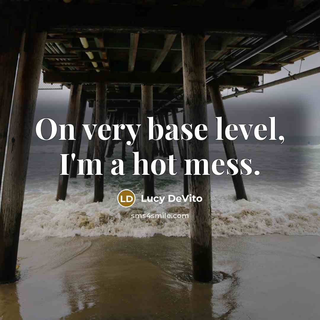 “On very base level, I'm a hot mess.” quote by Lucy DeVito