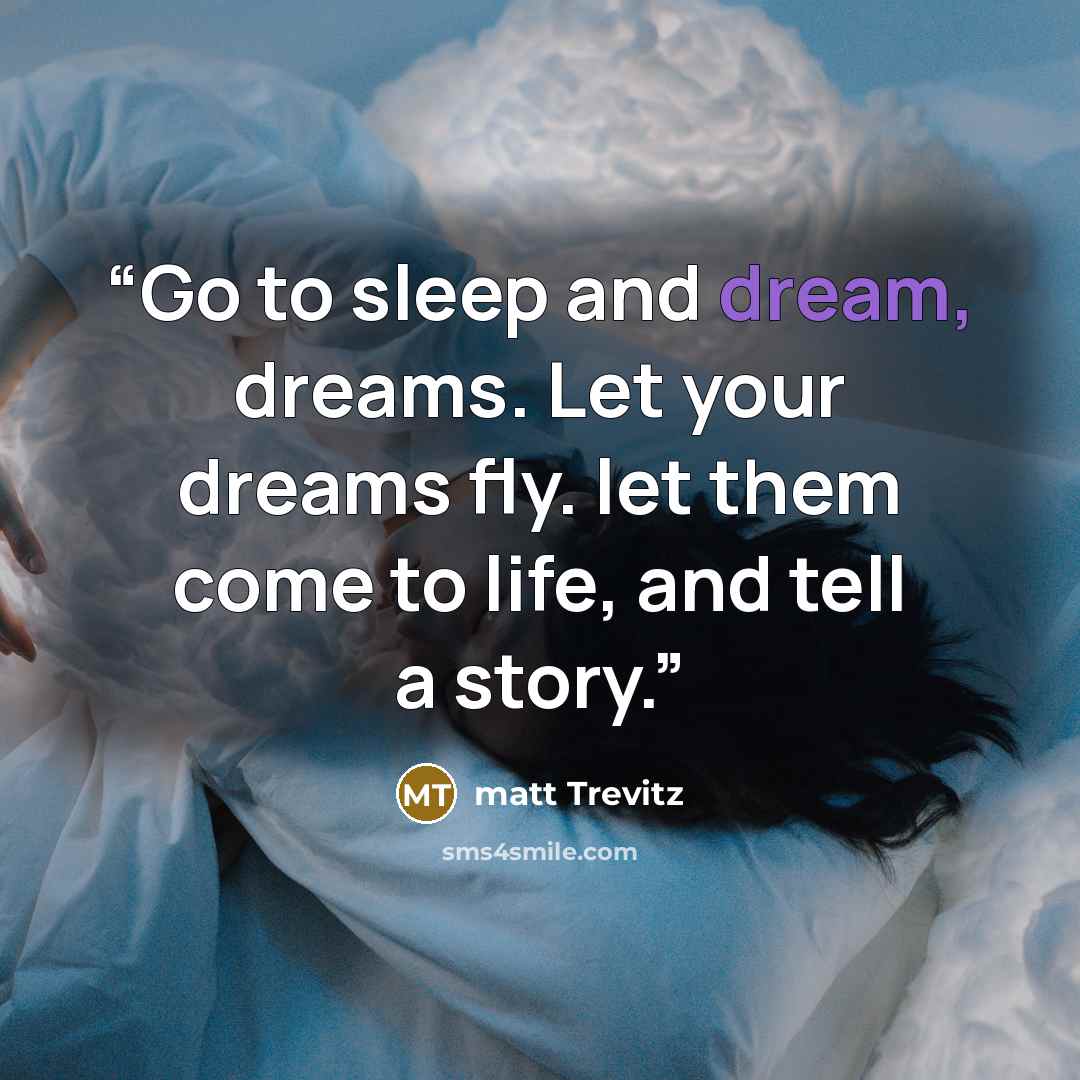 “Go to sleep and dream, dreams. Let your dreams fly. let them come to life, and tell a story.” quote by matt Trevitz