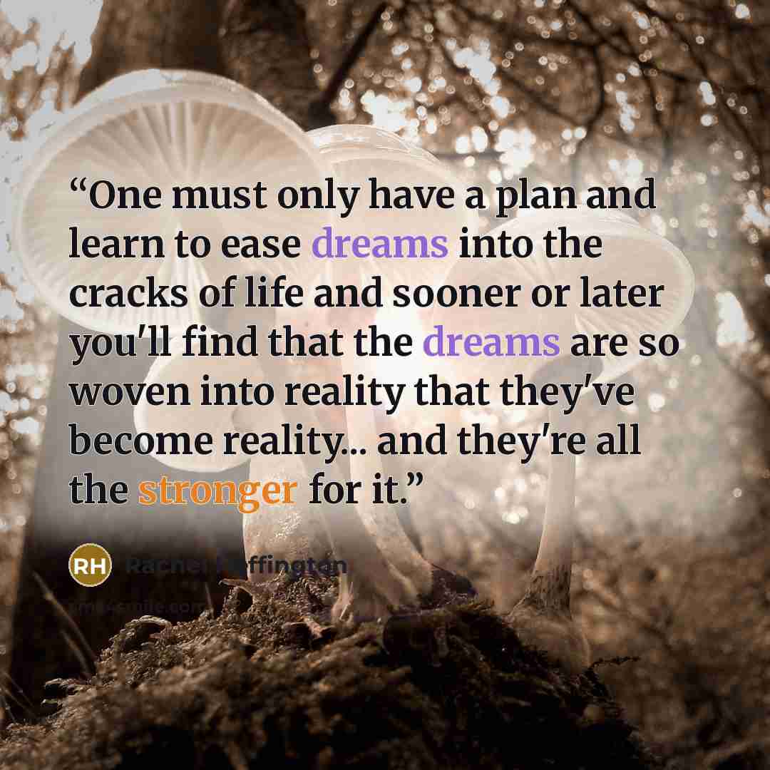 “One must only have a plan and learn to ease dreams into the cracks of life and sooner or later you'll find that the dreams are so woven into reality that they've become reality... and they're all the stronger for it.” quote by Rachel Heffington