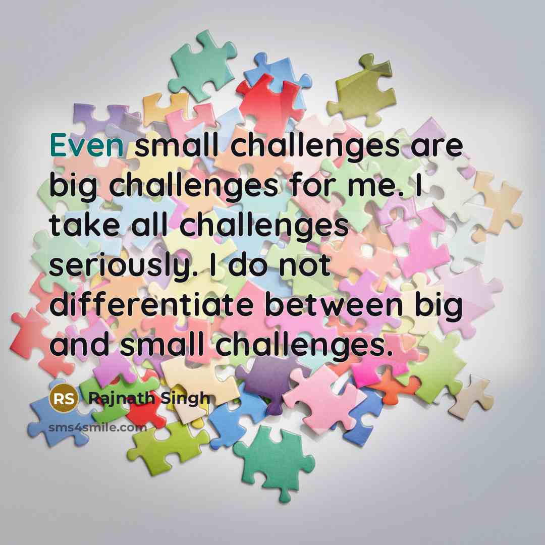 “Even small challenges are big challenges for me. I take all challenges seriously. I do not differentiate between big and small challenges.” quote by Rajnath Singh