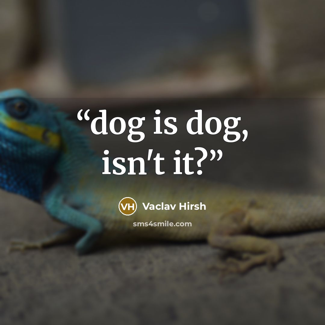 “dog is dog, isn't it?” quote by Vaclav Hirsh