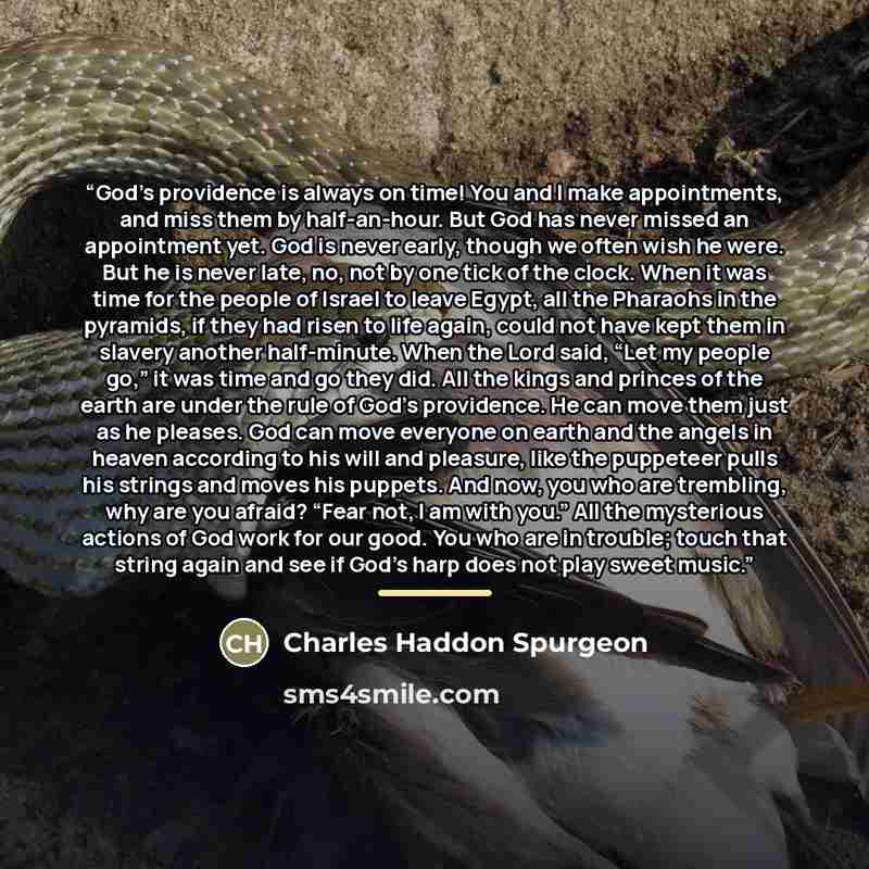 “God’s providence is always on time! You and I make appointments, and miss them by half-an-hour. But God has never missed an appointment yet. God is never early, though we often wish he were. But he is never late, no, not by one tick of the clock. When it was time for the people of Israel to leave…” quote by Charles Haddon Spurgeon