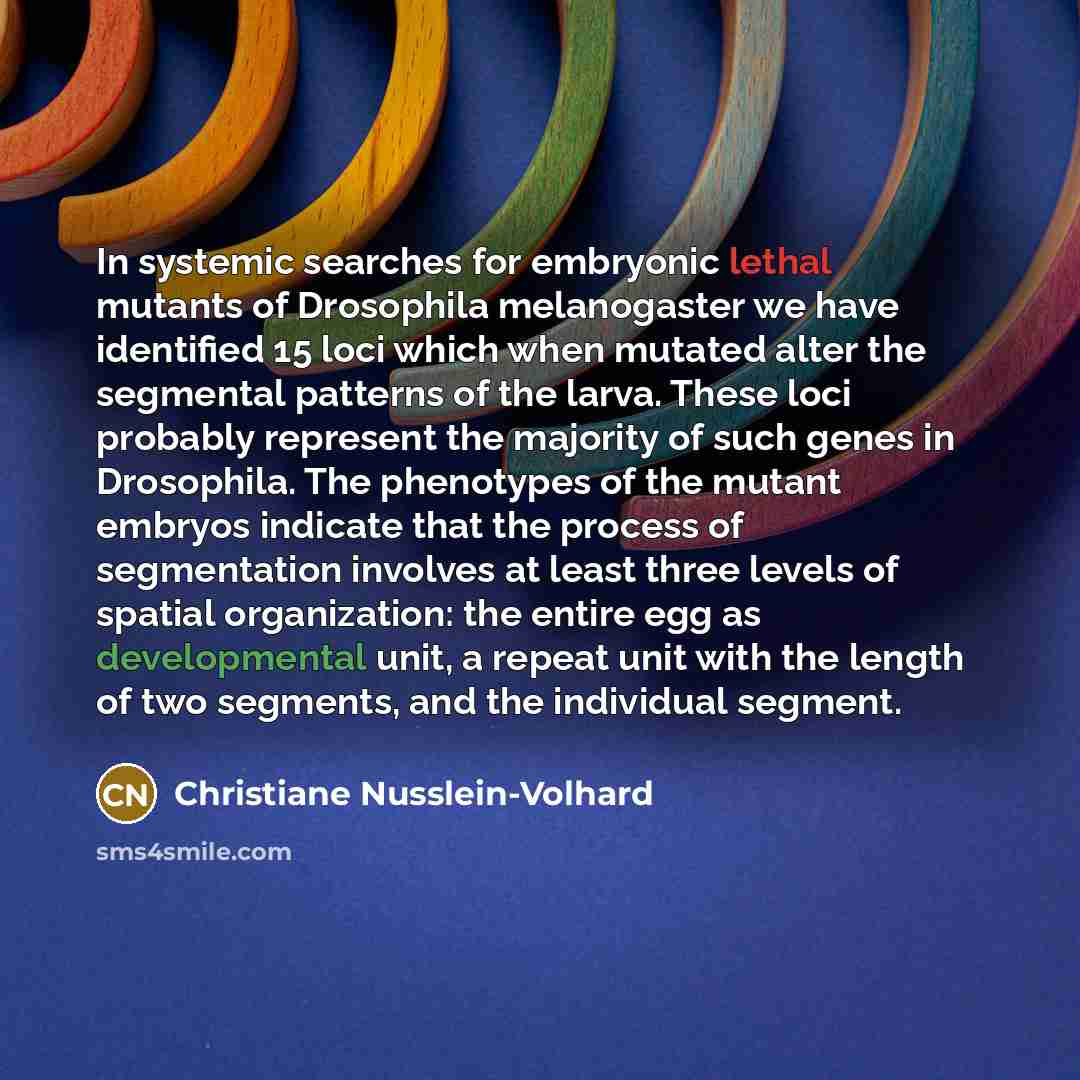 “In systemic searches for embryonic lethal mutants of Drosophila melanogaster we have identified 15 loci which when mutated alter the segmental patterns of the larva. These loci probably represent the majority of such genes in Drosophila. The phenotypes of the mutant embryos indicate that the…” quote by Christiane Nusslein-Volhard