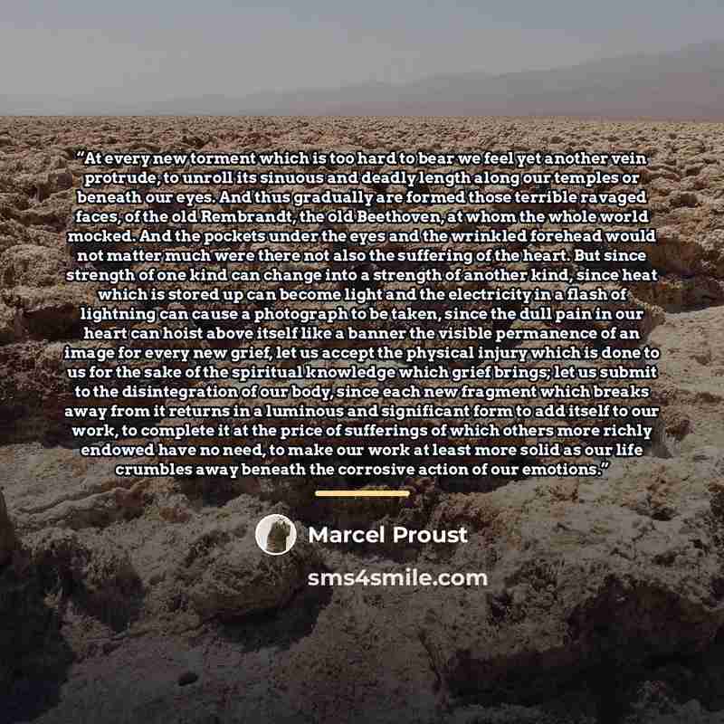 “At every new torment which is too hard to bear we feel yet another vein protrude, to unroll its sinuous and deadly length along our temples or beneath our eyes. And thus gradually are formed those terrible ravaged faces, of the old Rembrandt, the old Beethoven, at whom the whole world mocked. And…” quote by Marcel Proust