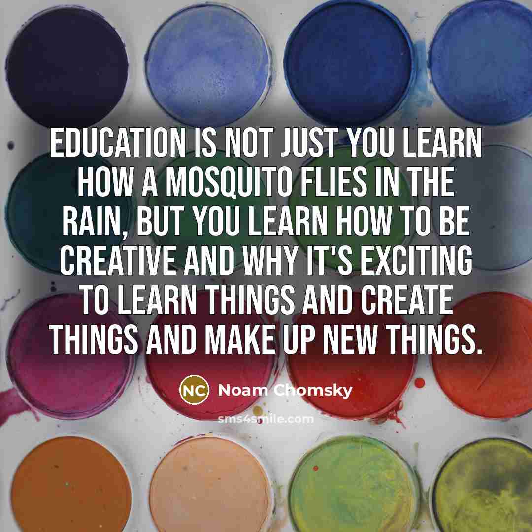 “Education is not just you learn how a mosquito flies in the rain, but you learn how to be creative and why it's exciting to learn things and create things and make up new things.” quote by Noam Chomsky
