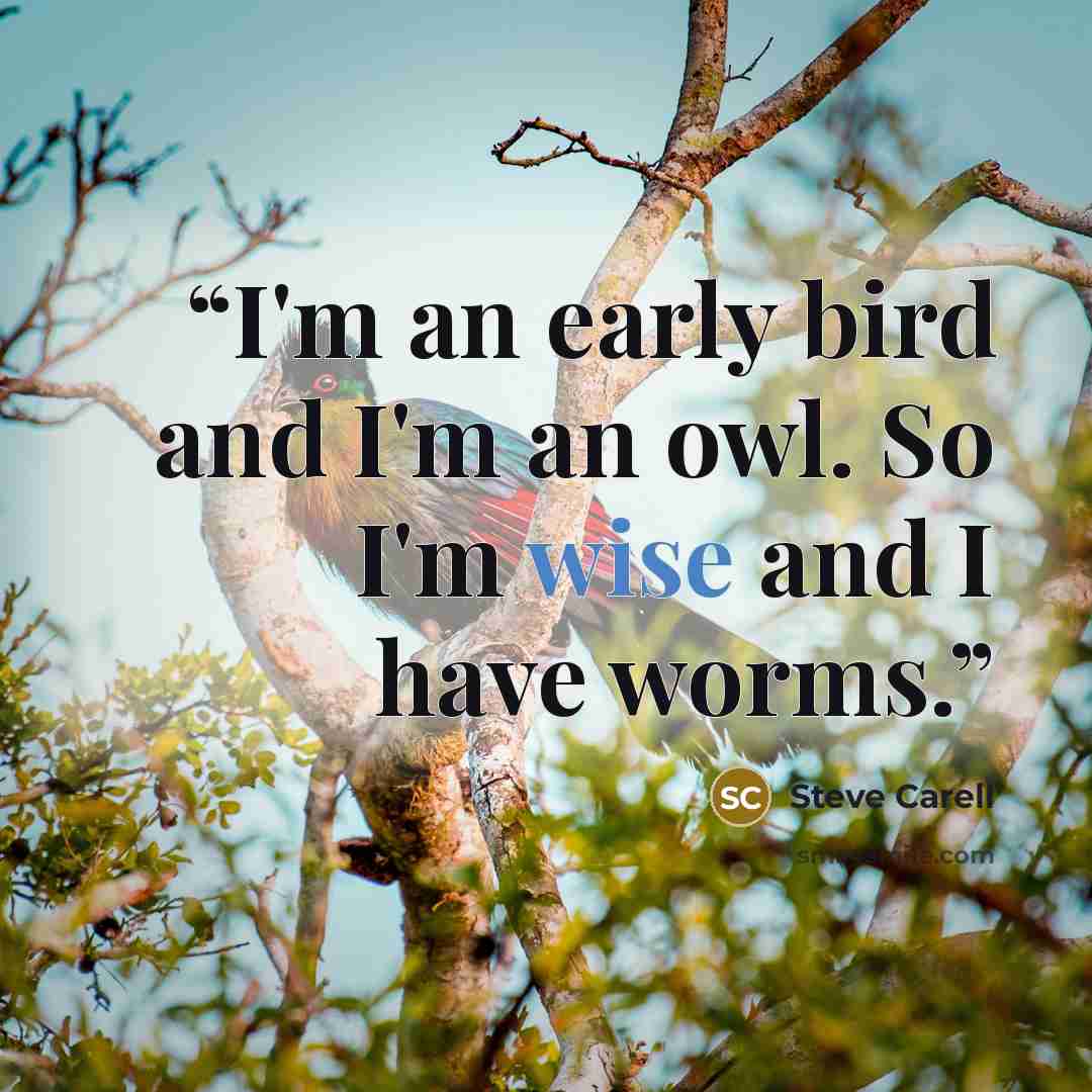 “I'm an early bird and I'm an owl. So I'm wise and I have worms.” quote by Steve Carell