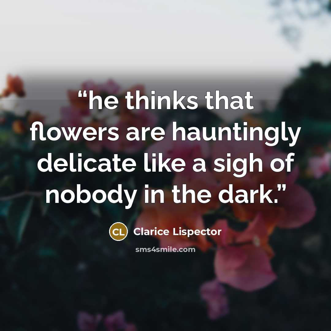 “he thinks that flowers are hauntingly delicate like a sigh of nobody in the dark.” quote by Clarice Lispector